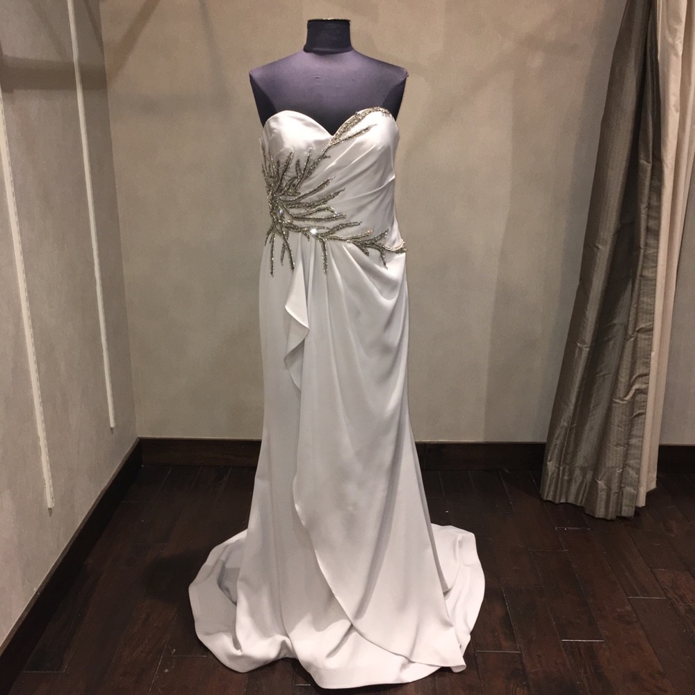 Terani Size 12 Gown